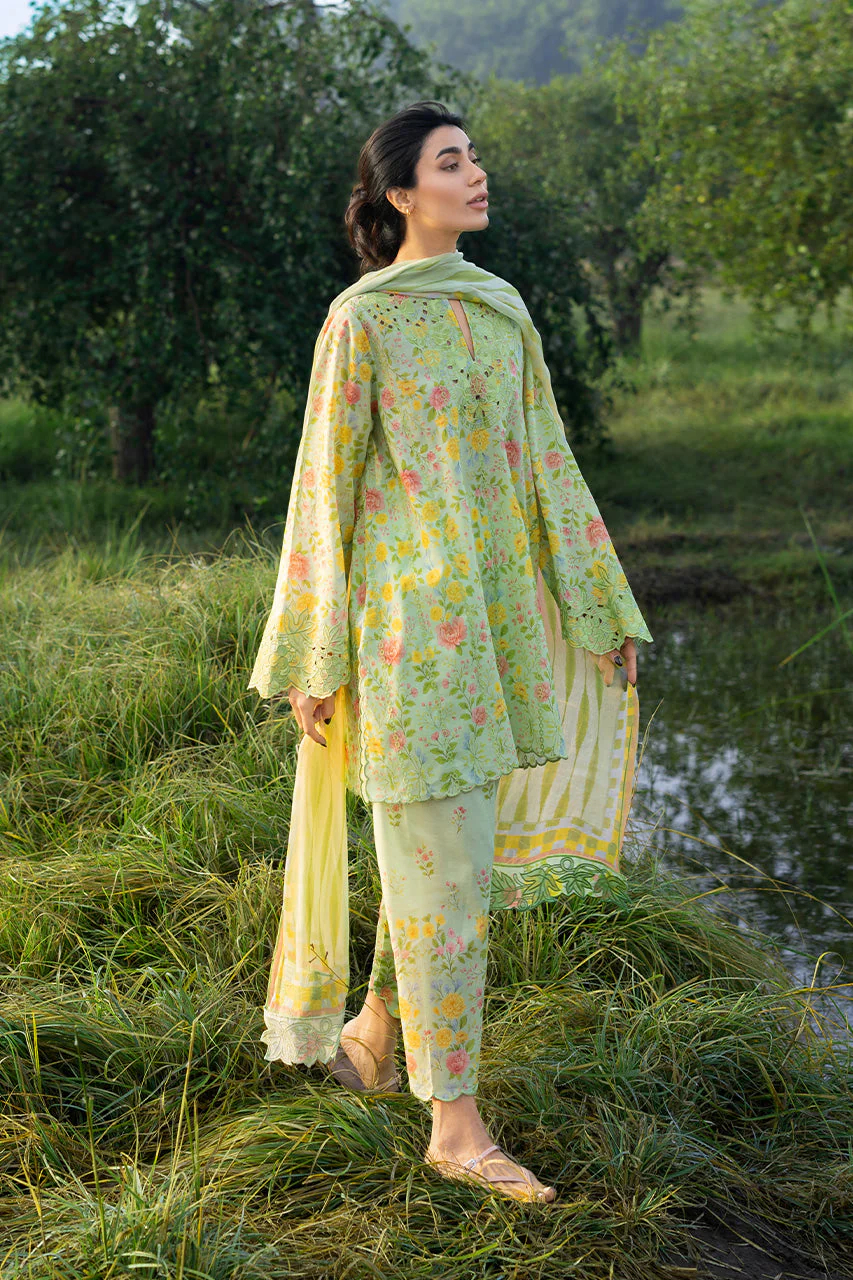 Alysa (B) - Image 3