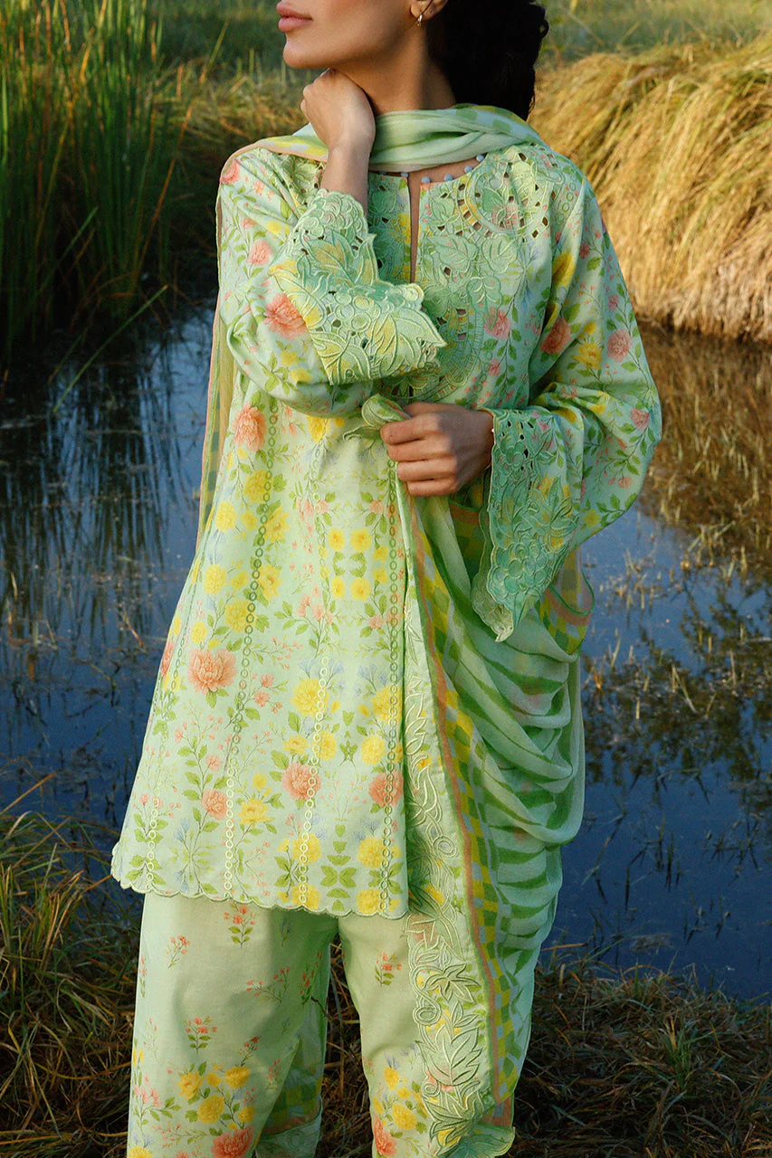 Alysa (B) - Image 4
