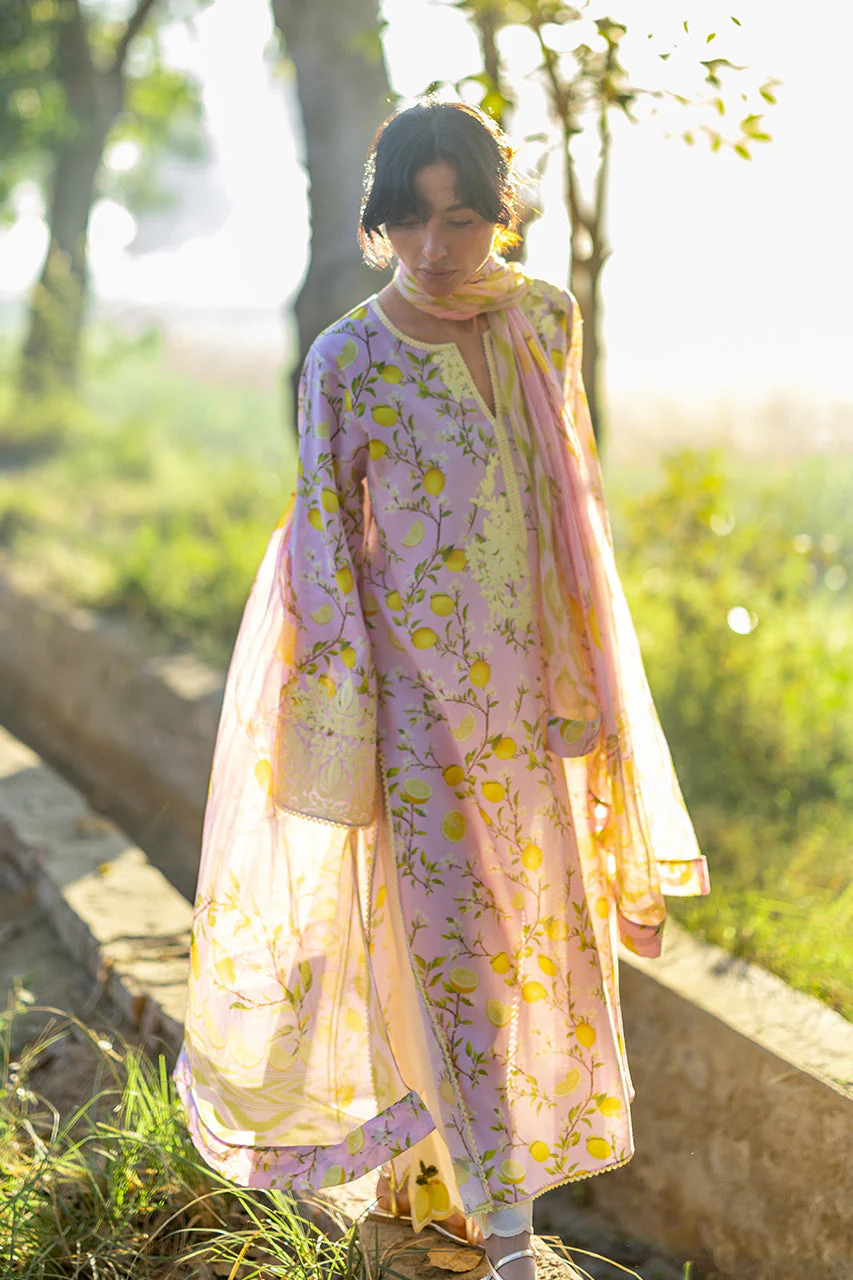 Ambar (B) - Image 3