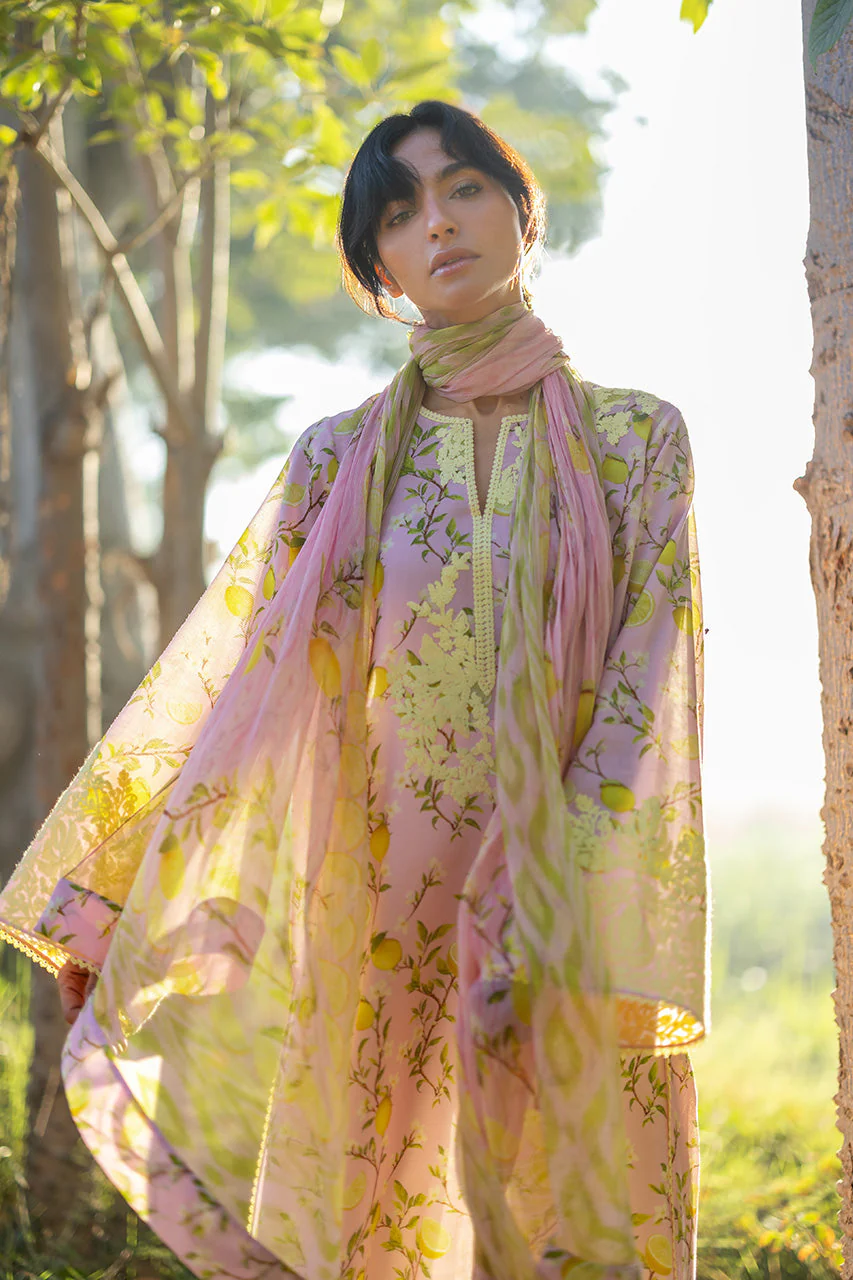 Ambar (B) - Image 4
