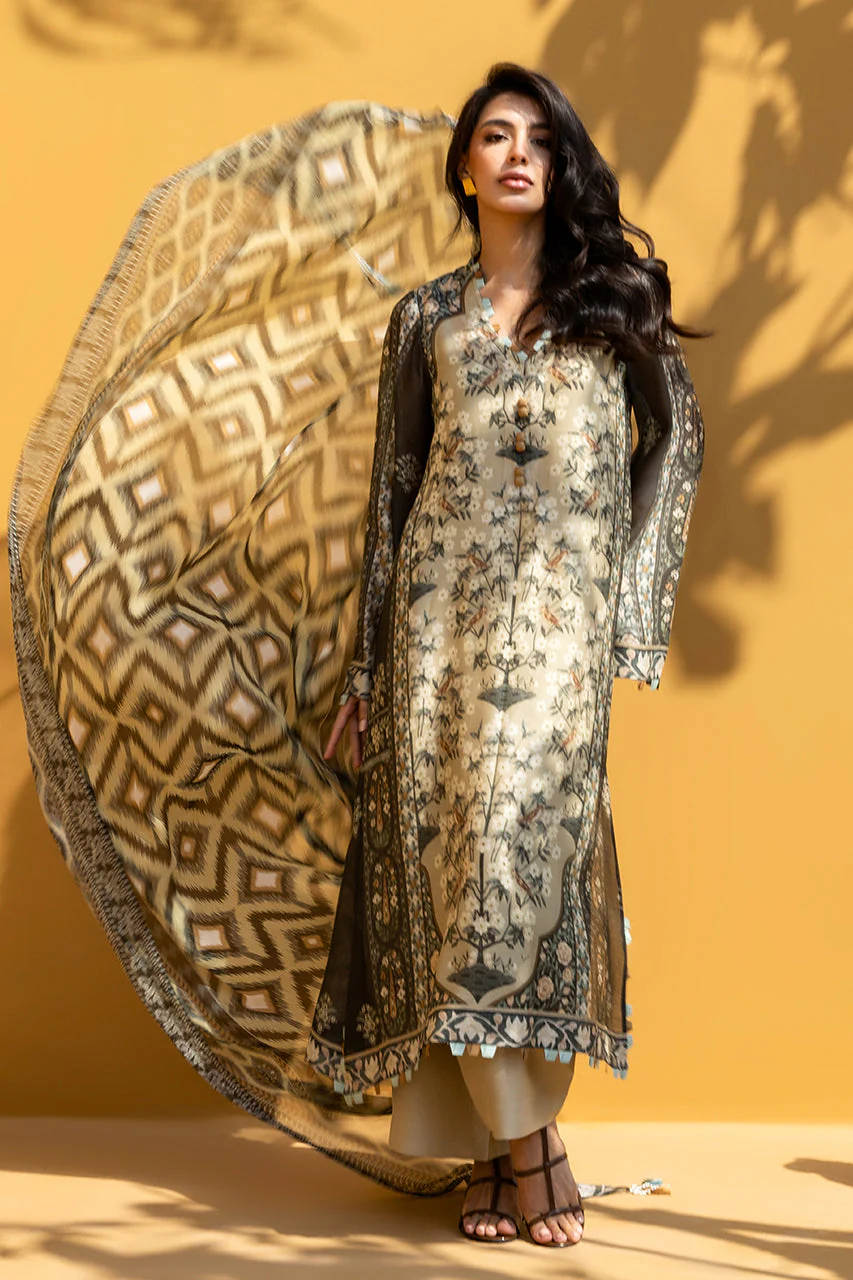 Amber - Image 4