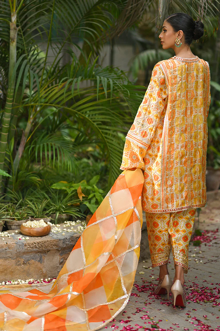 Asna - Image 4