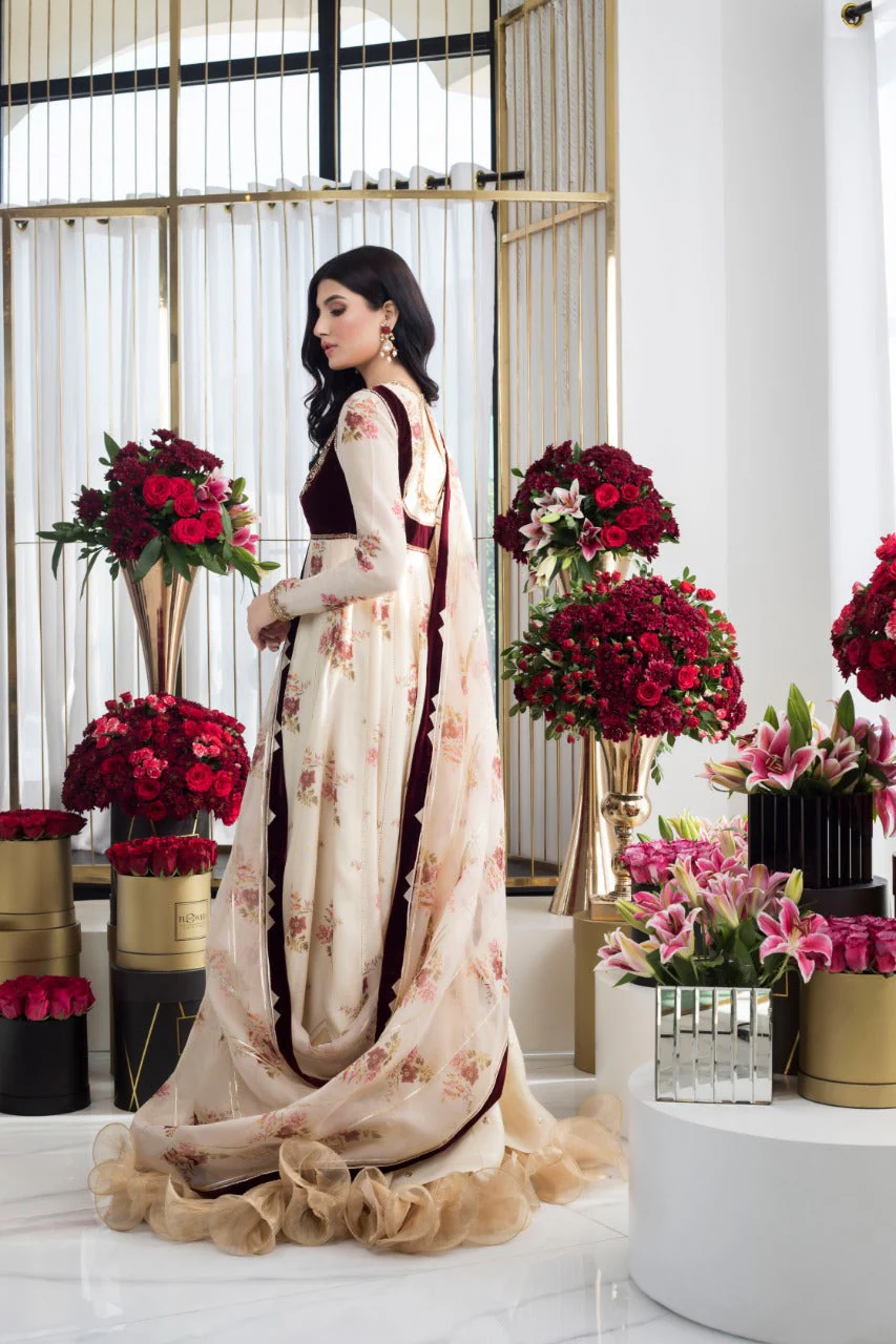 Creme Cotton Net Peshwas - Image 3