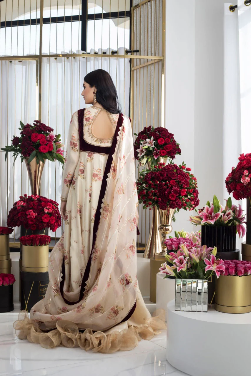 Creme Cotton Net Peshwas - Image 4