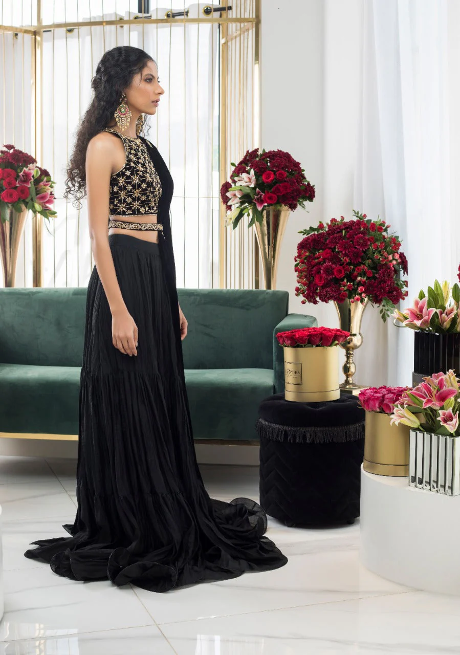 Ebony Velvet Choli And Lehnga - Image 4