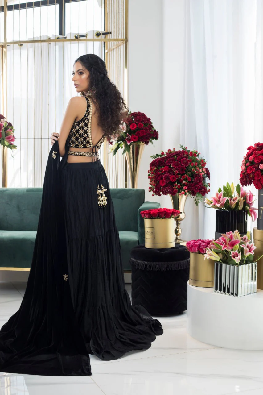 Ebony Velvet Choli And Lehnga - Image 5