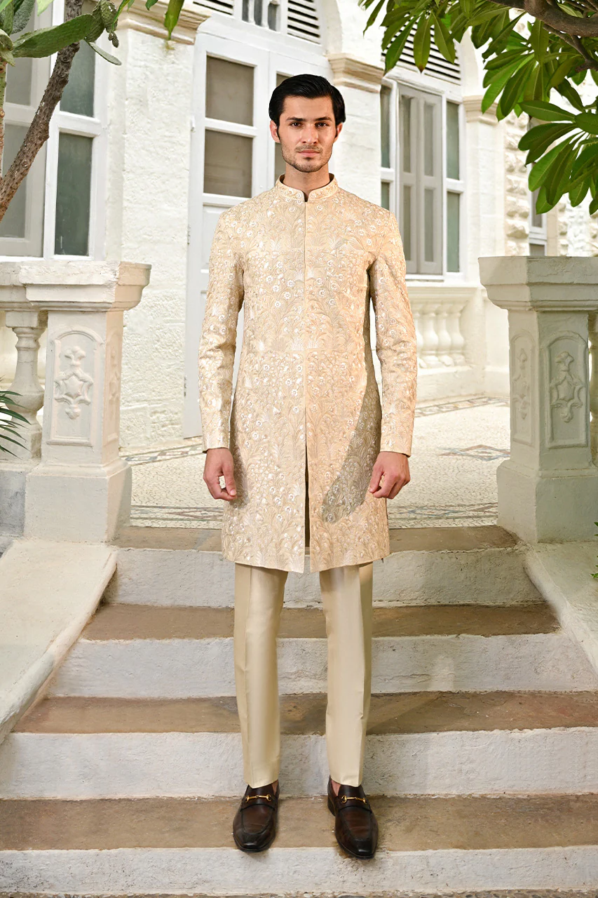 Faiz - Image 4