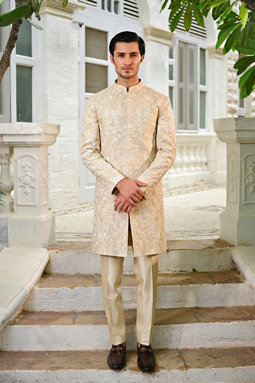 Faiz - Image 5