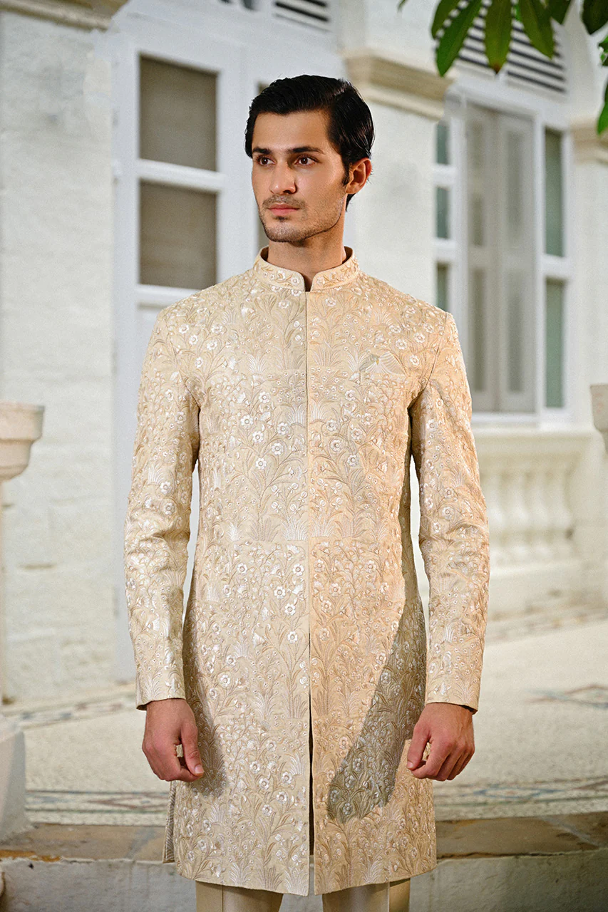 Faiz - Image 6