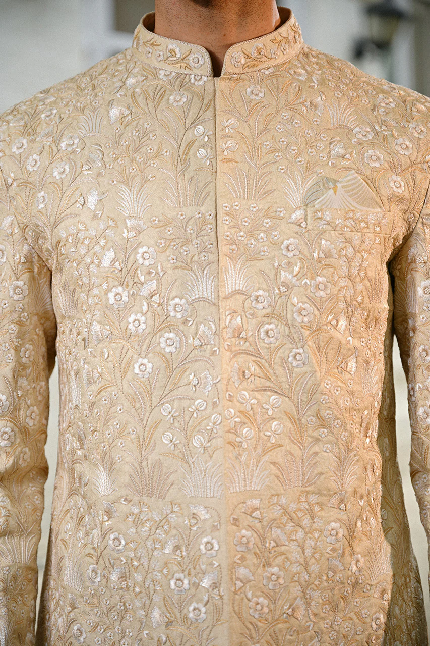 Faiz - Image 7