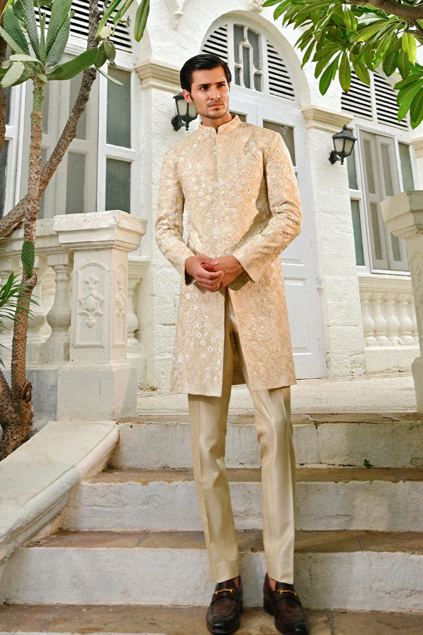 Faiz - Image 8