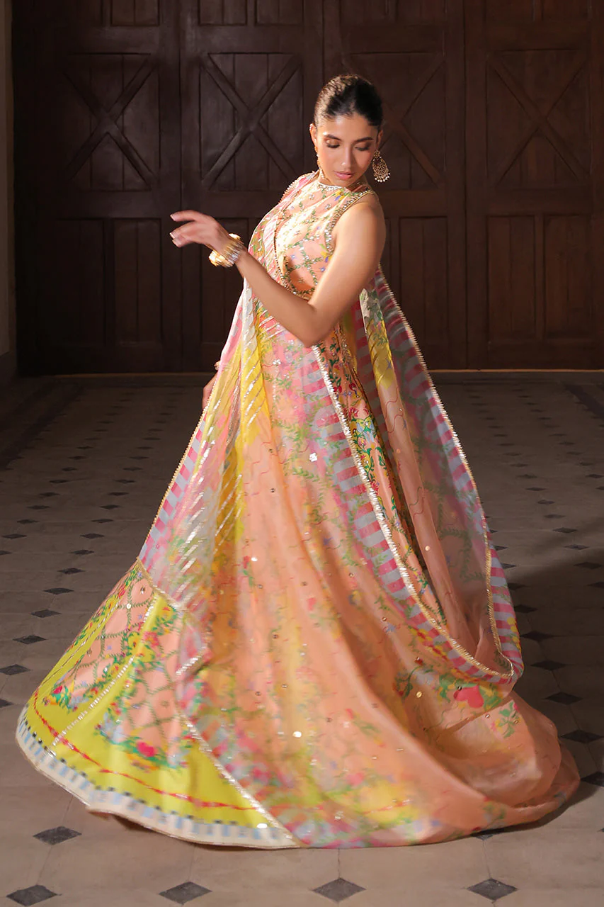 Feza - Image 3