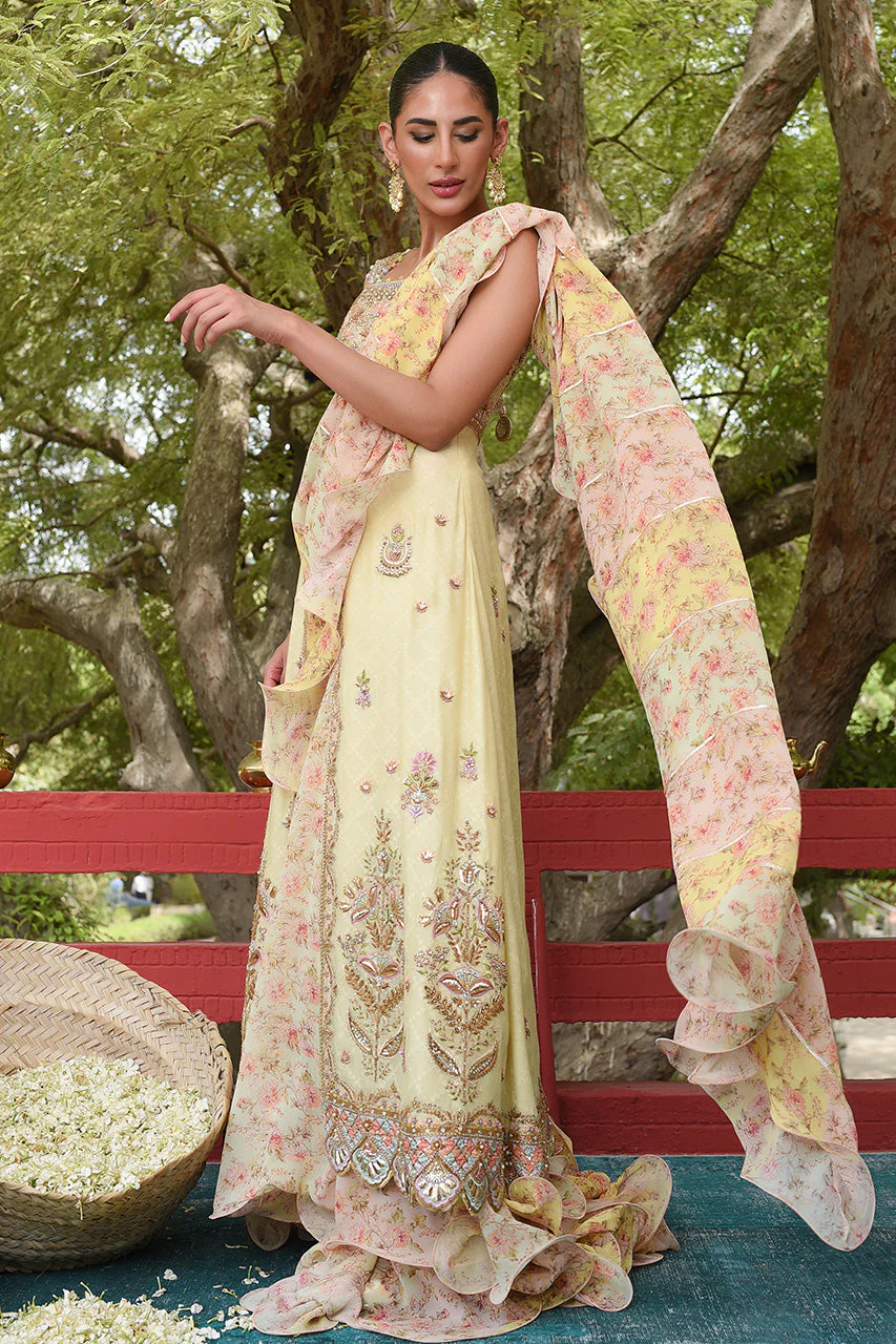 Haaniya - Image 4