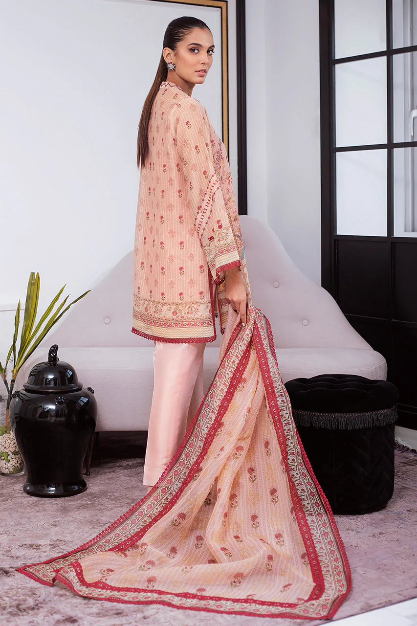 Laraib - Image 2