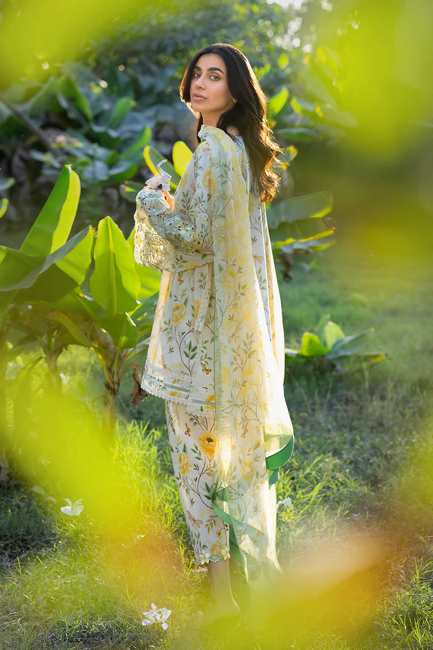 Lulu (A) - Image 3