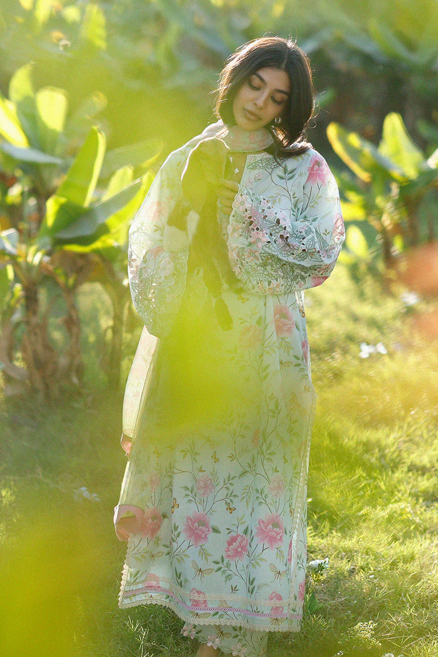 Lulu (B) - Image 4
