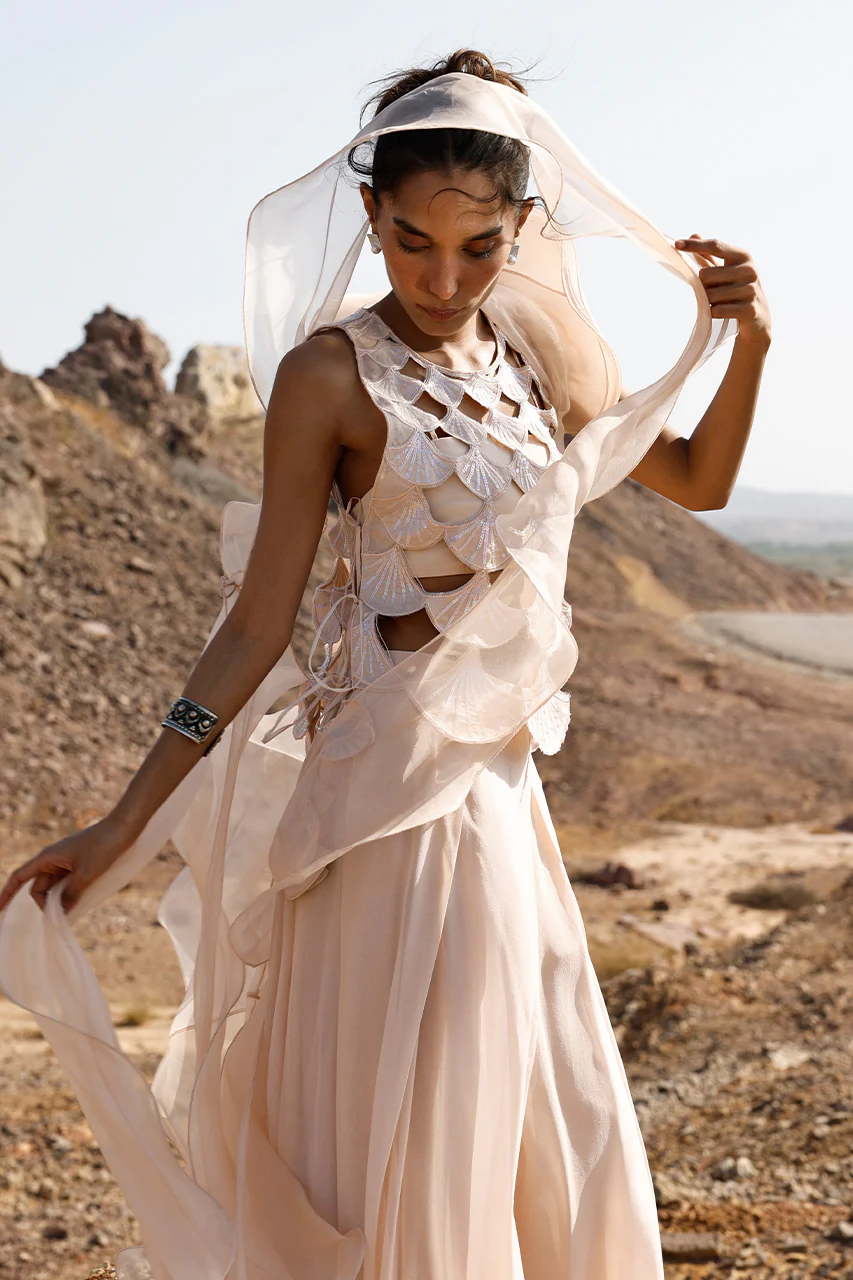 Olyra - Image 3