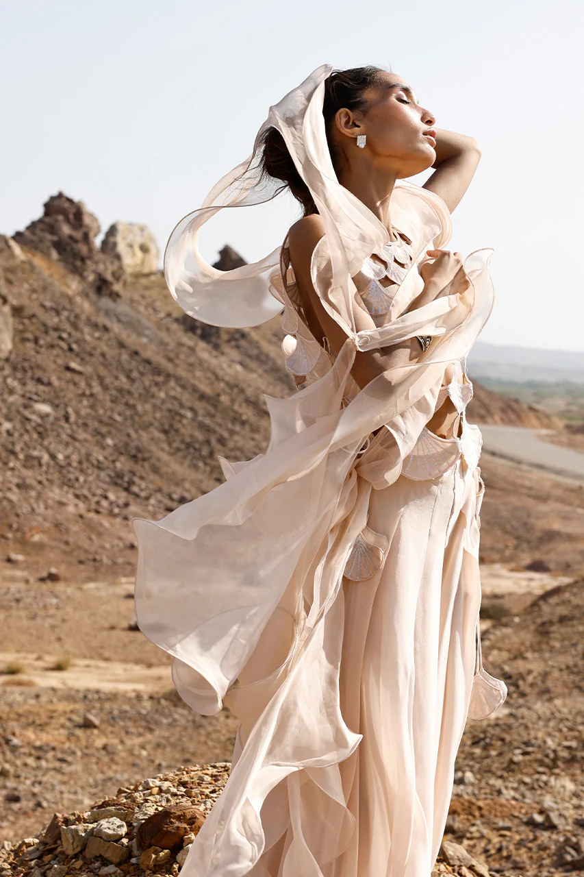 Olyra - Image 4