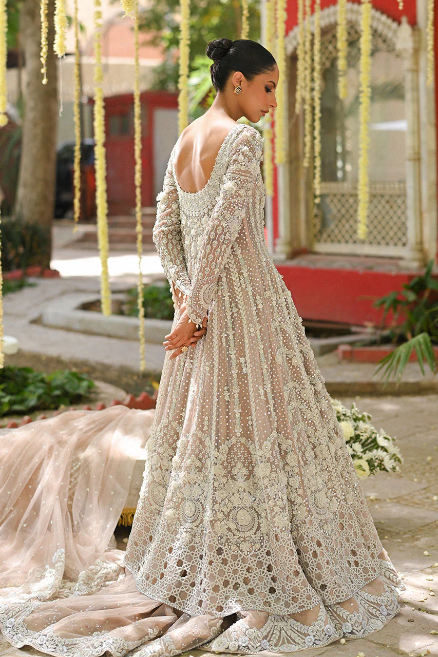 Rabi - Image 4