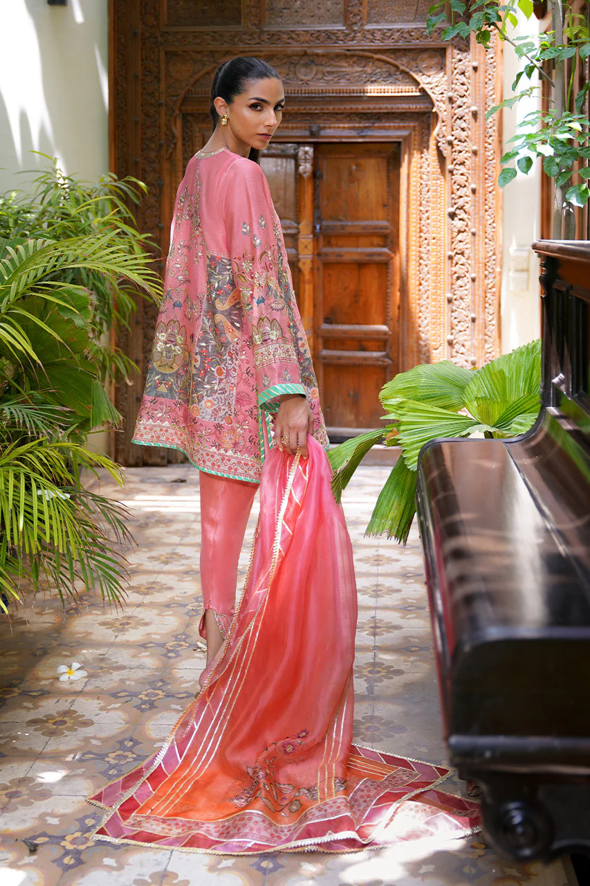 Raya (A) - Image 6
