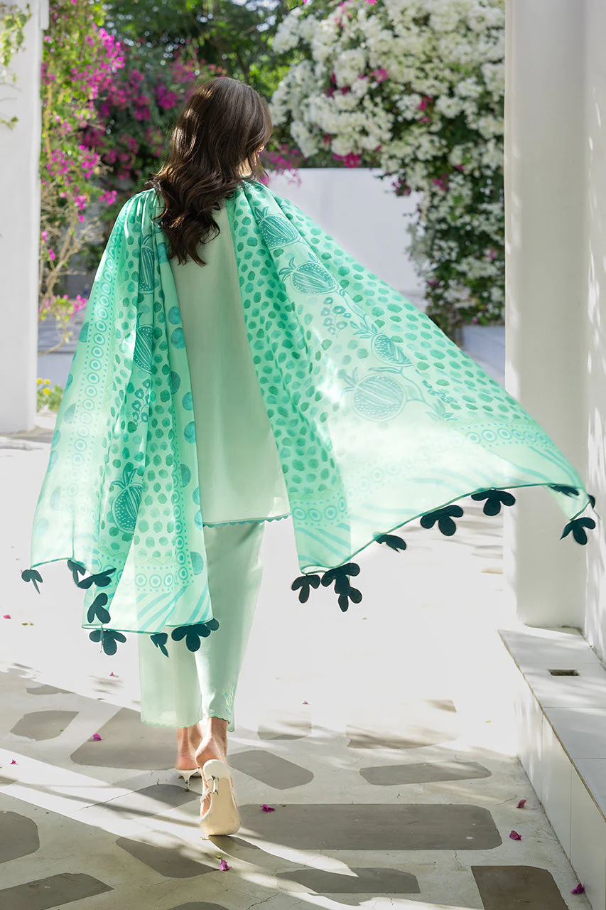 Reva (A) - Image 3