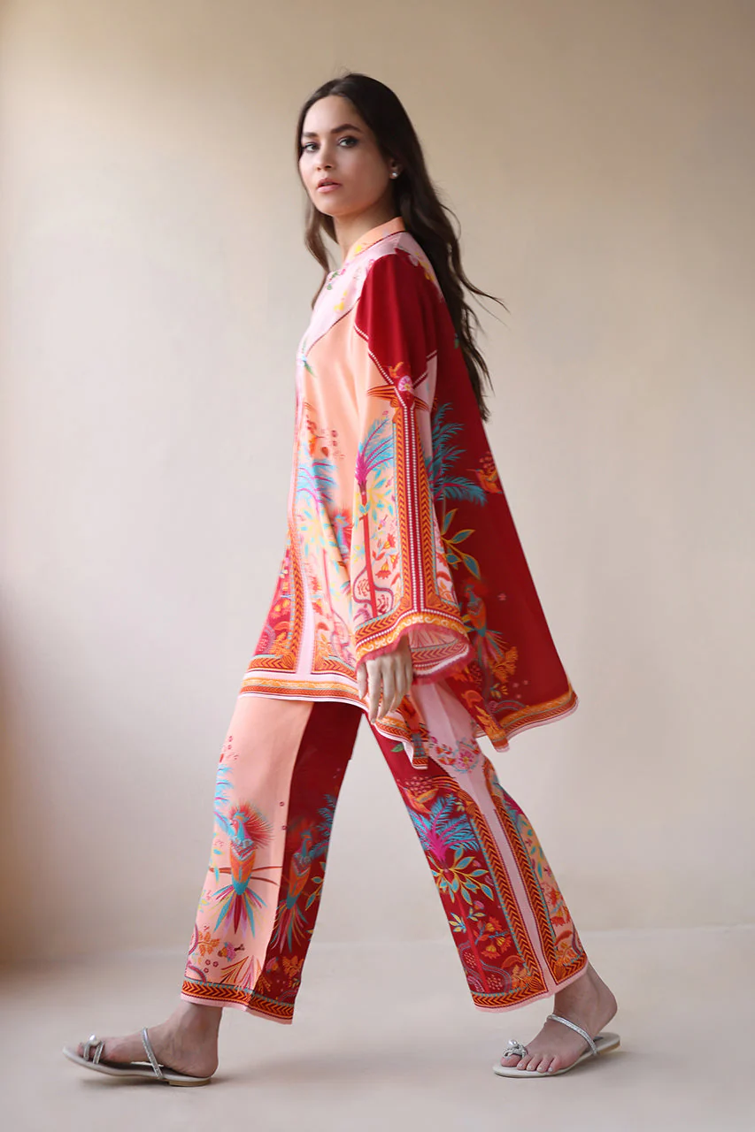 Savi - Image 4