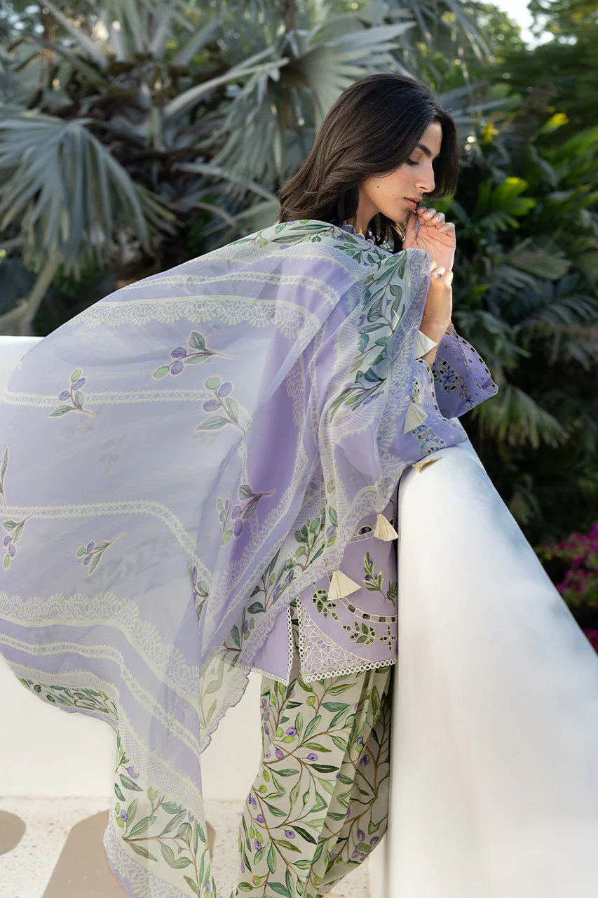 Seya (B) - Image 3