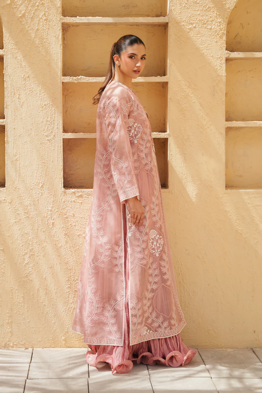 Usha - Image 3